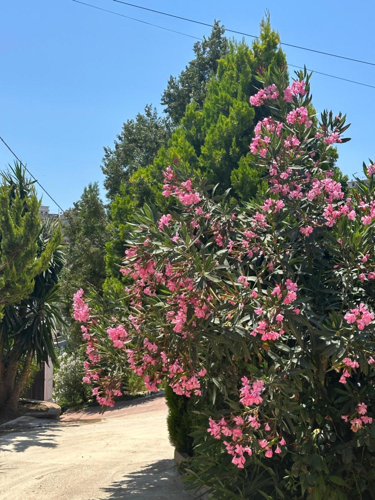 Panoramic Views Of Saranda Apartman Kültér fotó